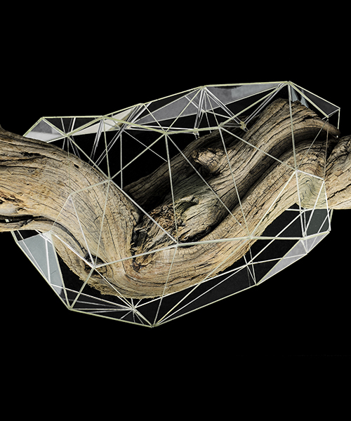 thomas medicus' glass sculptures digitize butterfly growth