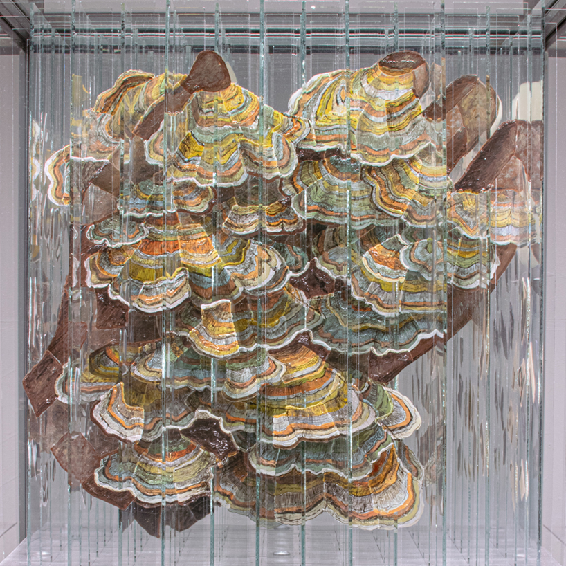 anamorphic installation by thomas medicus&nbsp;rotates into four shifting hand images - 4