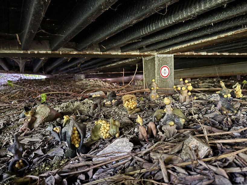 plastique fantastique reveals fossilized mysteries beneath korean pavilion at venice biennale