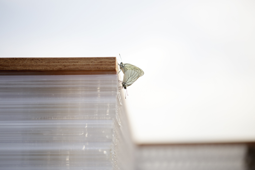 the cloud collective temporary ruins designboom