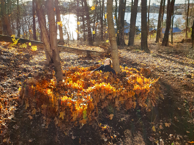 'leaf pools' by ulf mejergren architects celebrate the changing colors of fall designboom