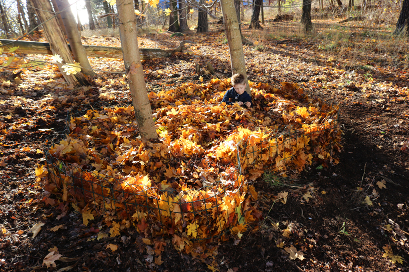 'leaf pools' by ulf mejergren architects celebrate the changing colors of fall designboom