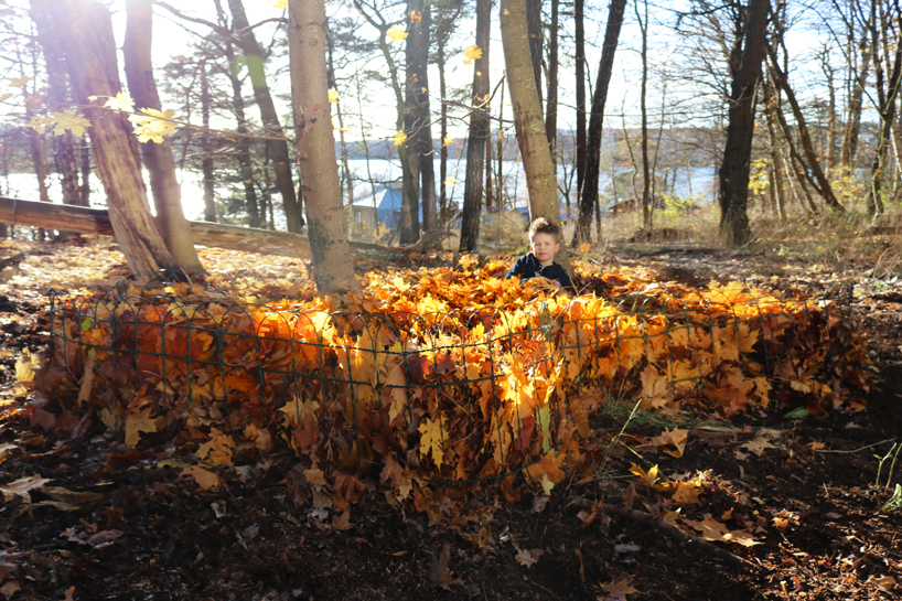 'leaf pools' by ulf mejergren architects celebrate the changing colors of fall designboom