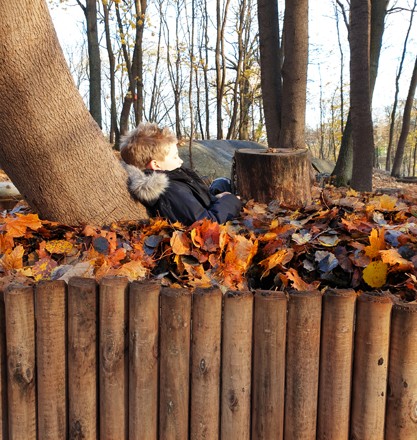 'leaf pools' by ulf mejergren architects celebrate the colors of fall