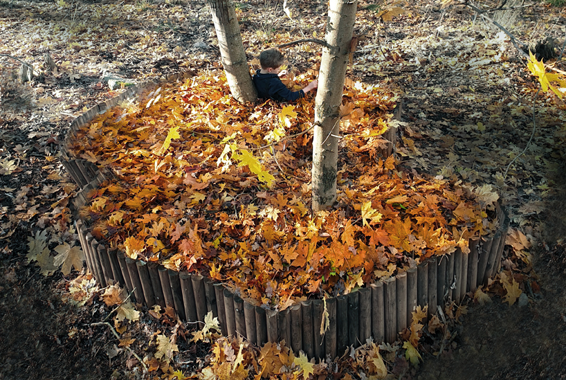 'leaf pools' by ulf mejergren architects celebrate the changing colors of fall designboom