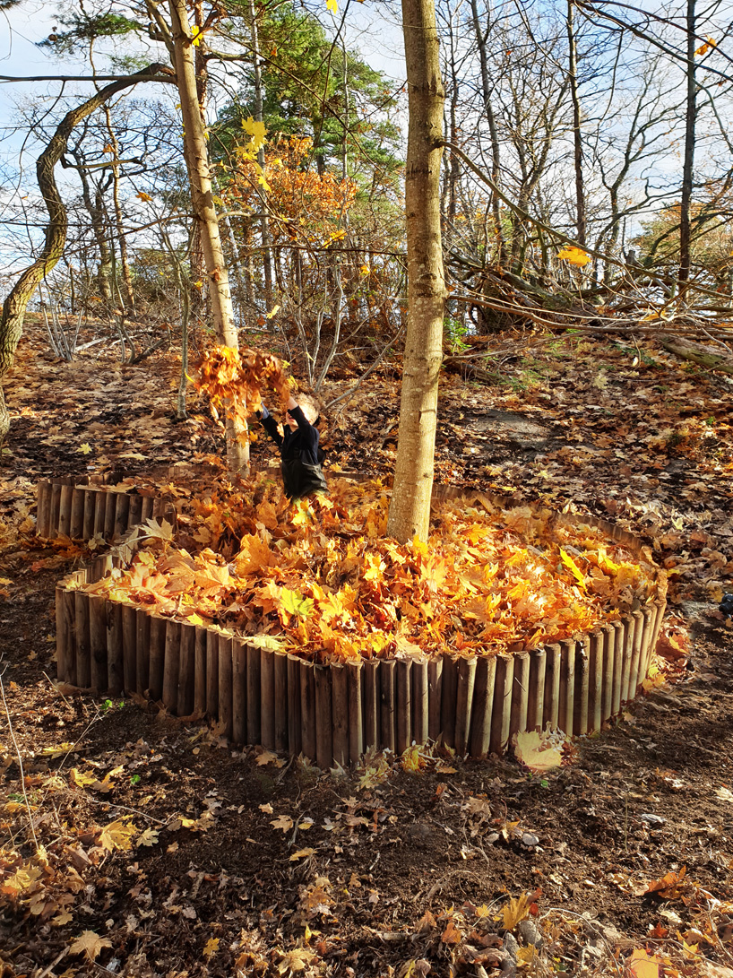 'leaf pools' by ulf mejergren architects celebrate the colors of fall