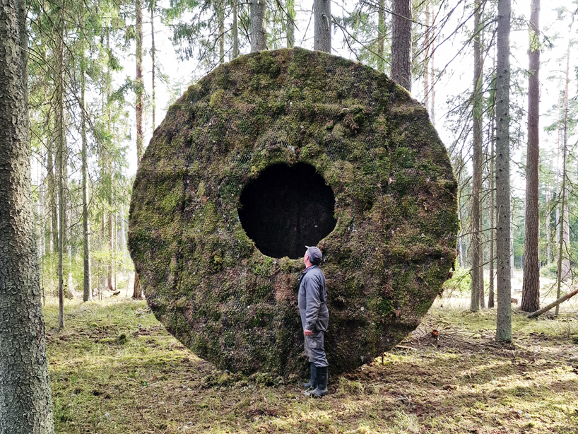 moss-covered hollowed disc by UMA feeds wild boars in swedish forest