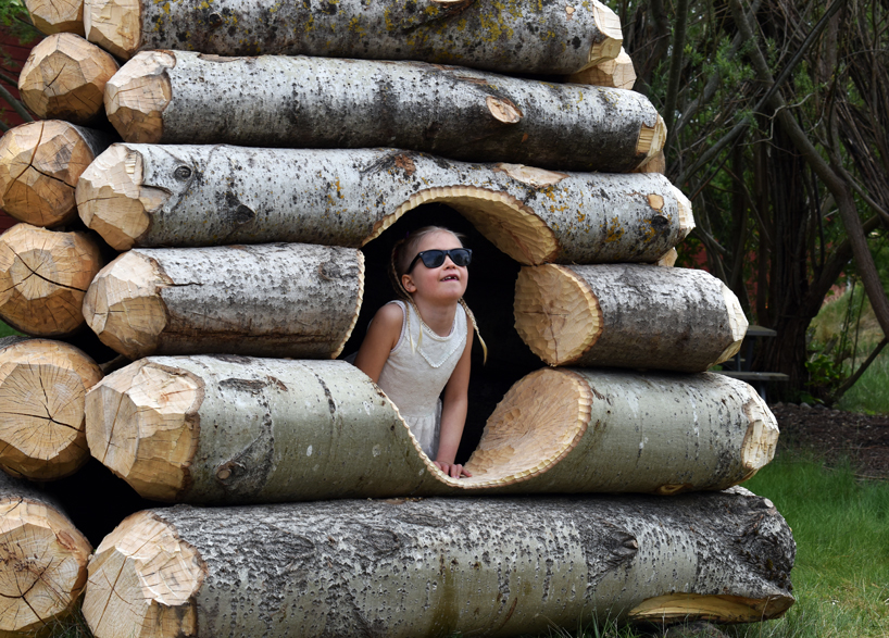 timber twist by ulf mejergren and travis child reimagines larvae shelter as spiraling log cabin