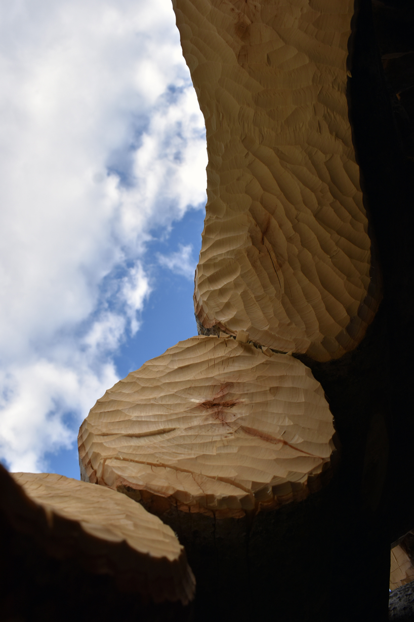 timber twist by ulf mejergren and travis child reimagines larvae shelter as spiraling log cabin