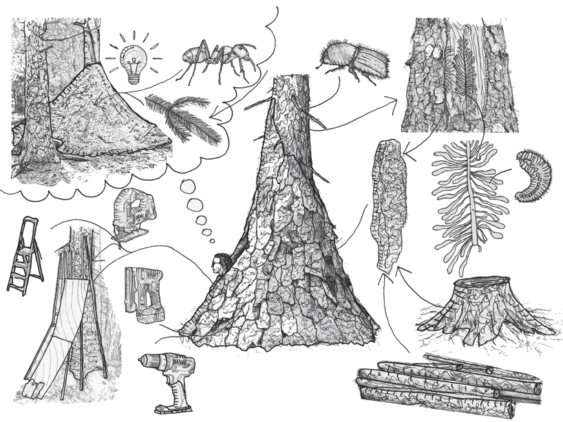 a hut of spruce bark by ulf mejergren grows around a living tree in sweden - 8