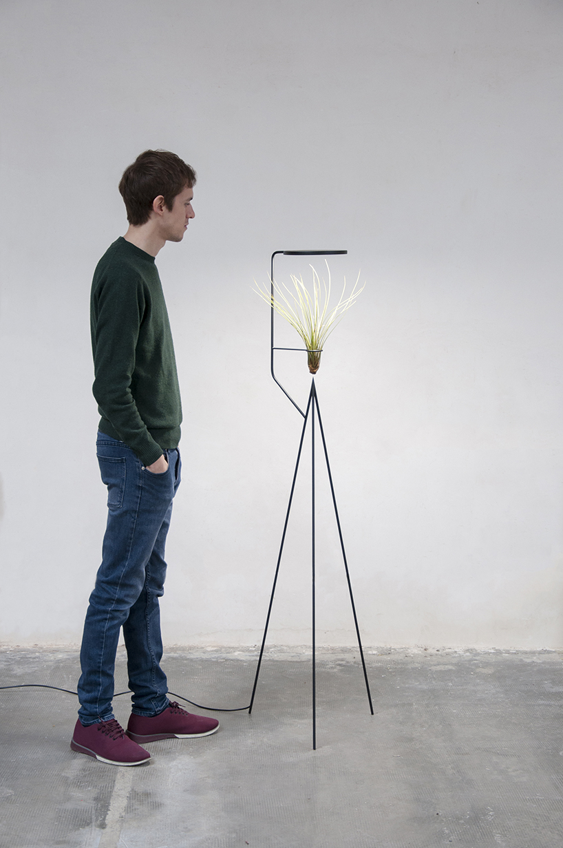 goula figuera viride plant plus lamp designboom