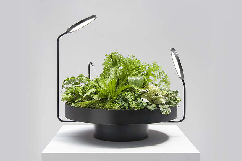 goula figuera viride plant plus lamp designboom
