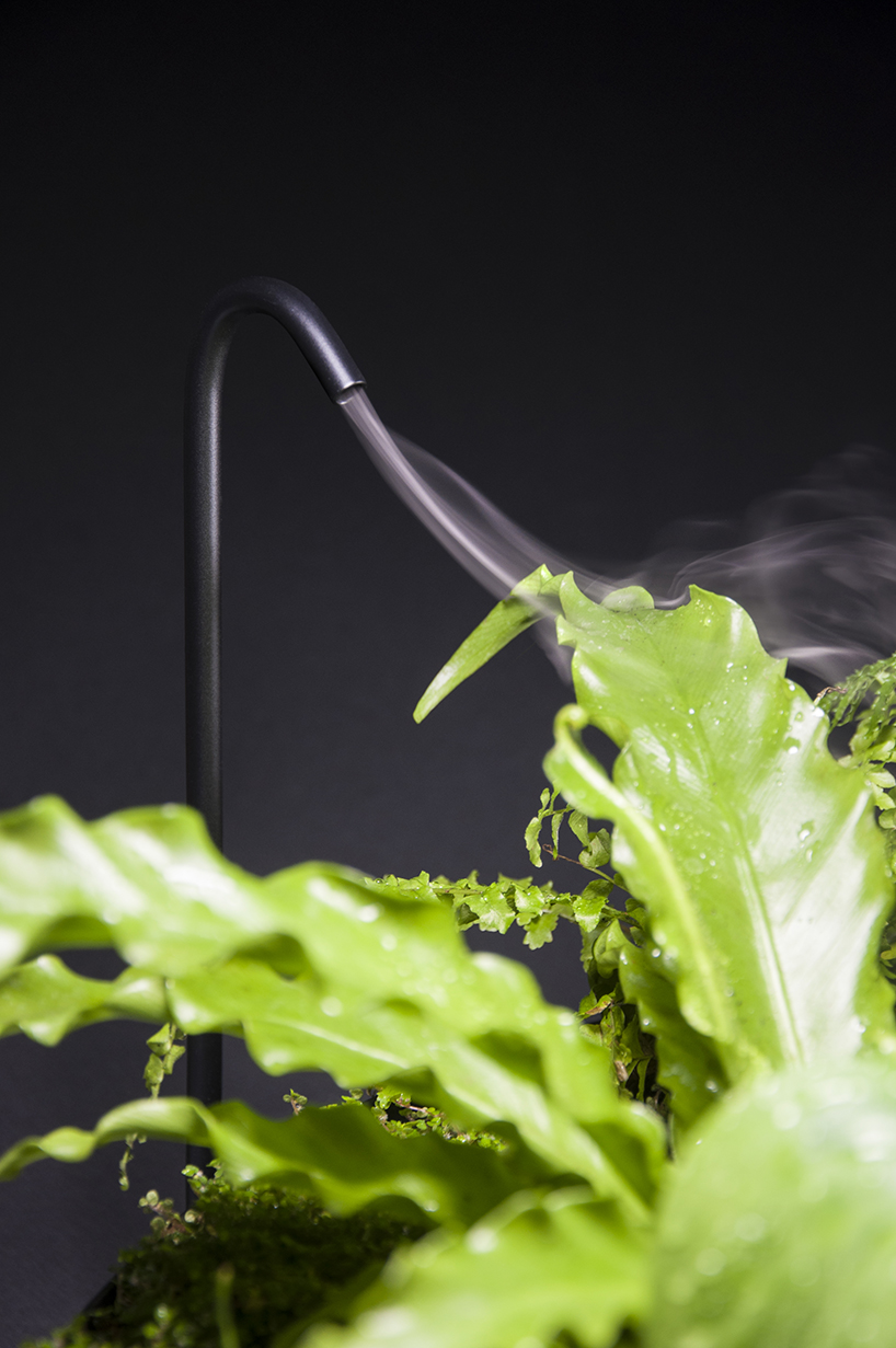 goula figuera viride plant plus lamp designboom