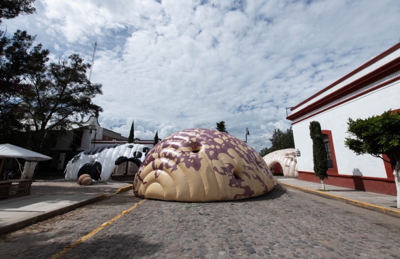 norberto miranda forms inflatable beans to host exhibitions in mexico