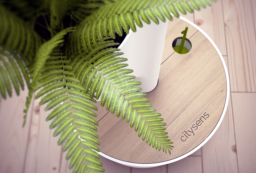 citysens by l&uacute;cid design agency is a hydroponic + self-watering vertical garden