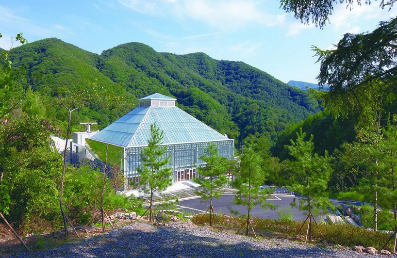 shinslab iisac envisions light of life church surrounded by trees 