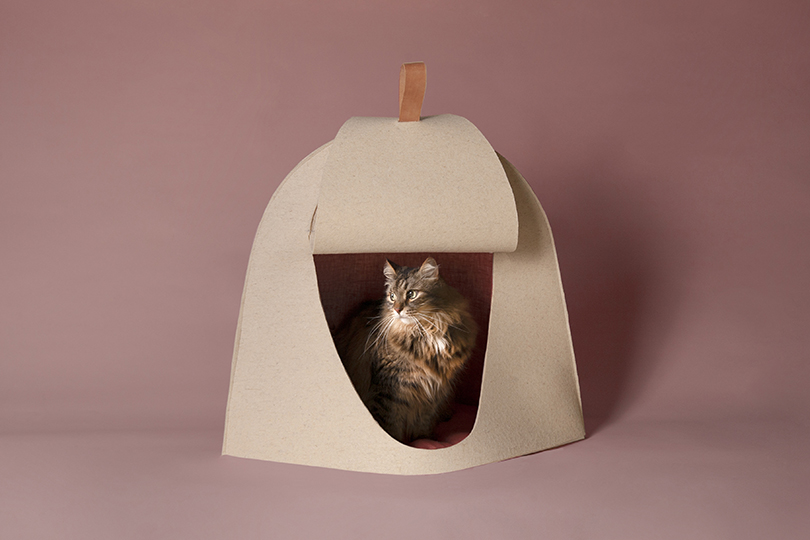 perezochando-casa-kennel-bowls-pets-01-30-2020-designboom