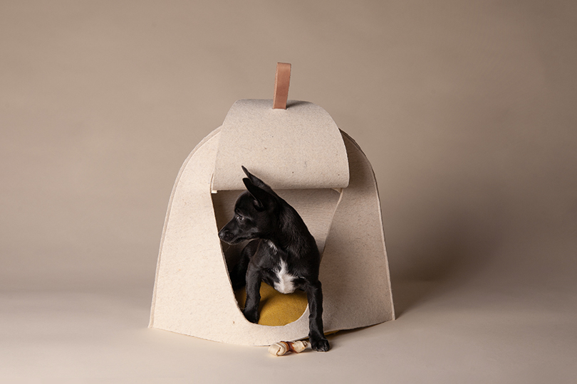 perezochando-casa-kennel-bowls-pets-01-30-2020-designboom