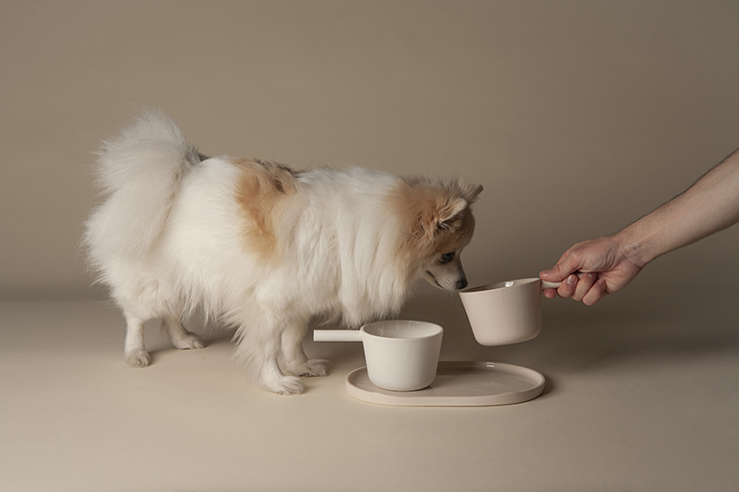 perezochando-casa-kennel-bowls-pets-01-30-2020-designboom