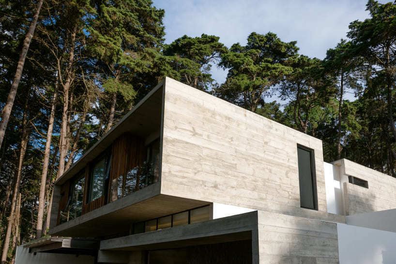 paz arquitectura's exposed concrete house in guatemala contrasts with surrounding woods