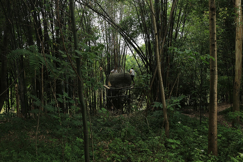 bentu builds free-standing bamboo nests onto living branches in qingshen