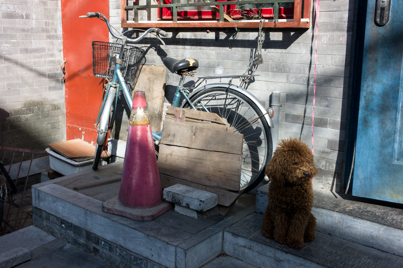 xiaomeng zhao bicycles in beijing, now designboom