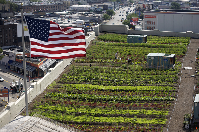 42,000 square feet urban farm created on new york rooftop