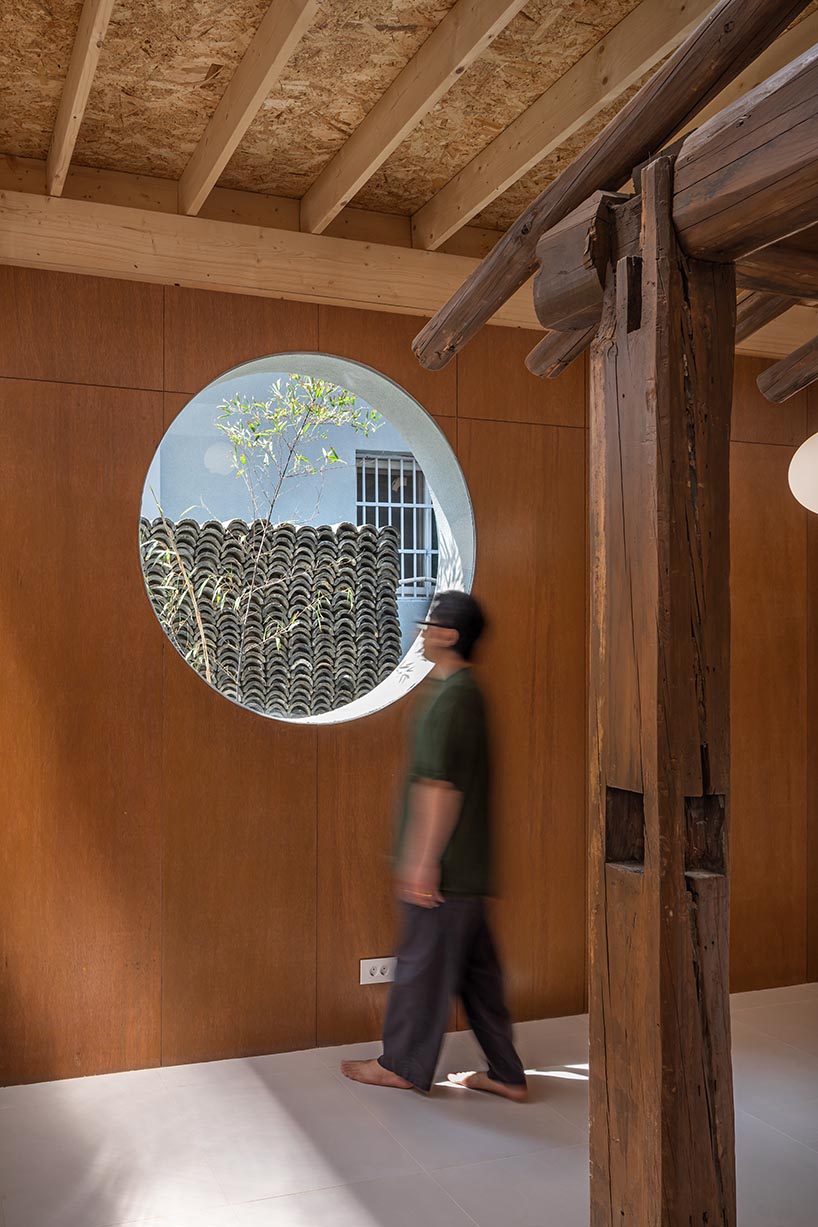 a strange coexistence found on the urban edge 5