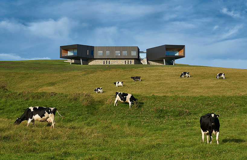 australian beach house creates farmland sanctuary from wild ocean surroundings