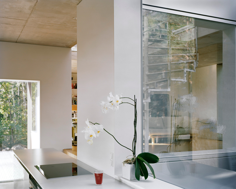 the common office completes villa altona in swedish forest