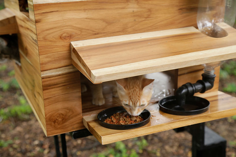 natura futura arquitectura builds little shelters for homeless pets in babahoyo, ecuador designboom