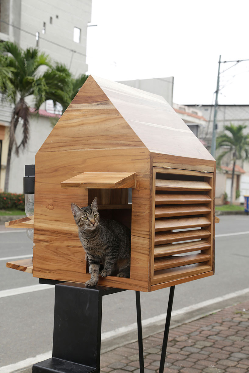 natura futura arquitectura builds little shelters for homeless pets