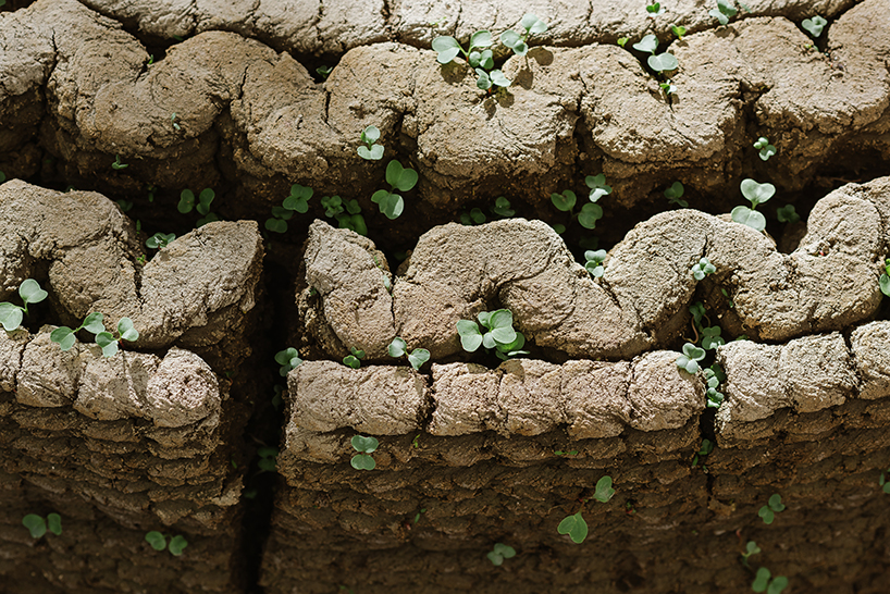 ‘to grow a building’ uses 3D printing to create organic architecture made of seeds and soil