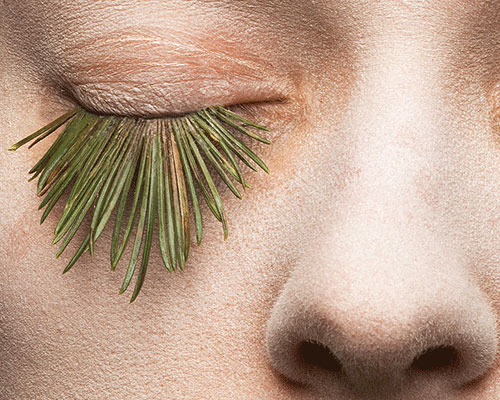 mary graham crafts natural fake eyelashes with foliage, egg and snow