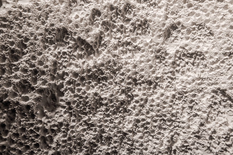 almost natural shelter by architecture + other things