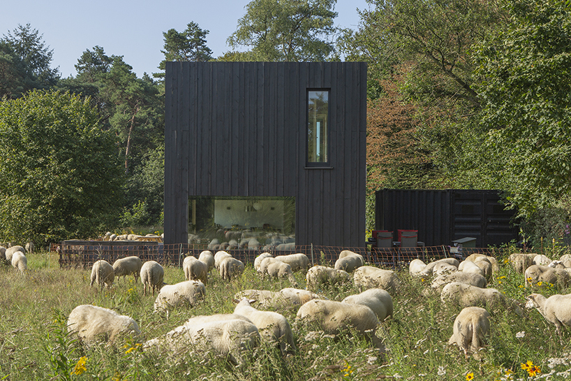 a house for all seasons 12