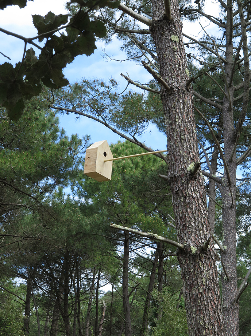 gwendal le bihan & raphaël vaillant-andré birdhouses designboom 02