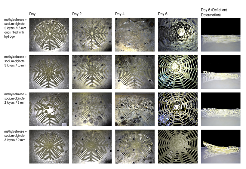 masters student looks to algae to create living screens using robotic fabrication