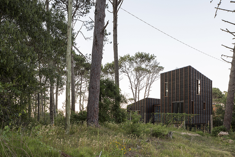 fram-arquitectos-wooden-house-uruguay-05-22-19-designboom