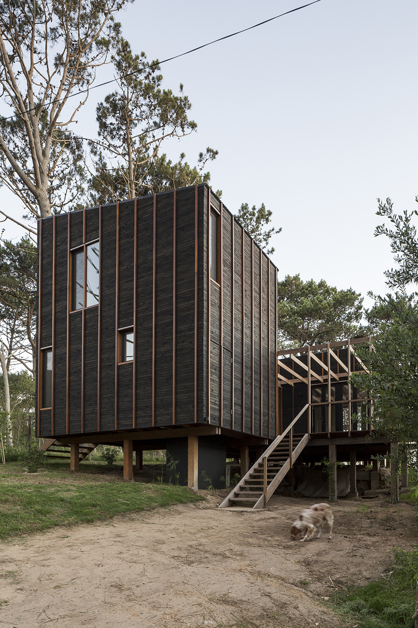 fram-arquitectos-wooden-house-uruguay-05-22-19-designboom