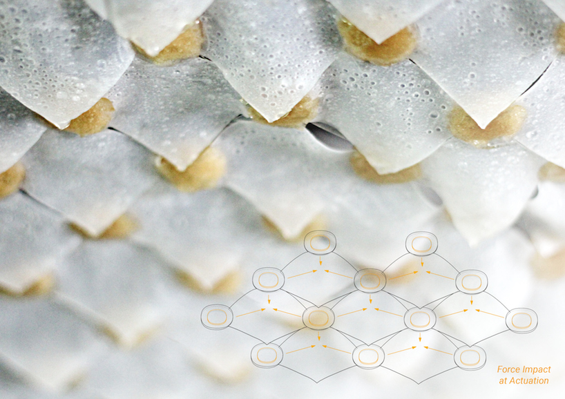 IAAC student designs hydro-membrane textile for passive cooling