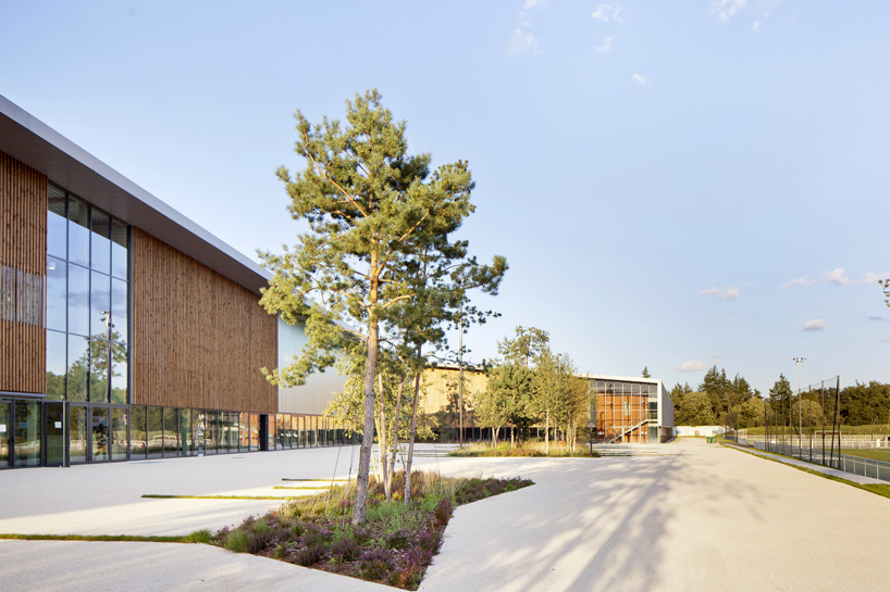 barthelemy grino sports cnsd 