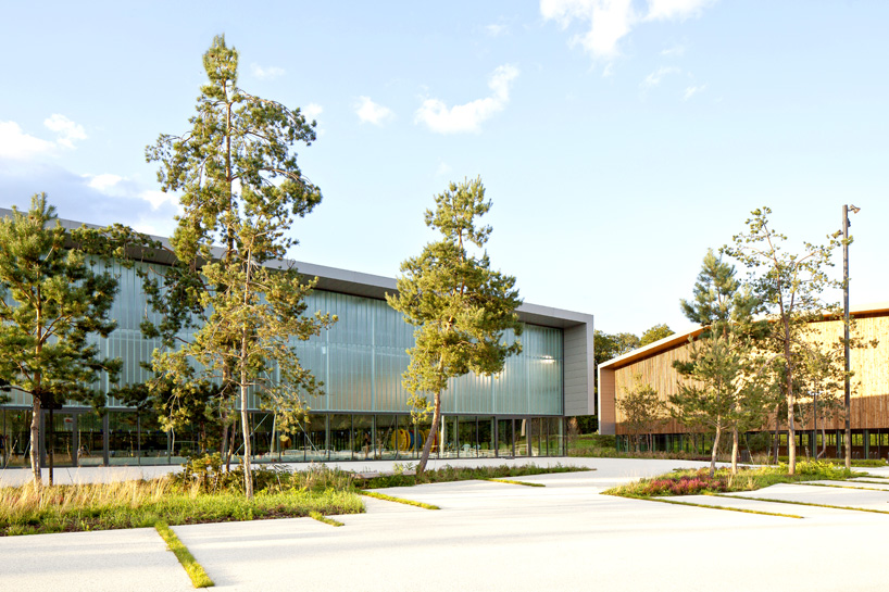 barthelemy grino sports cnsd 