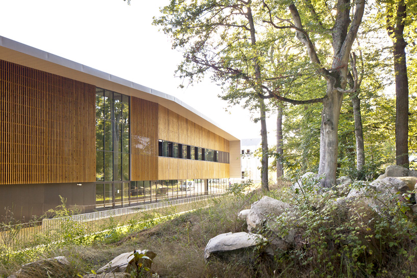 barthelemy grino sports cnsd 