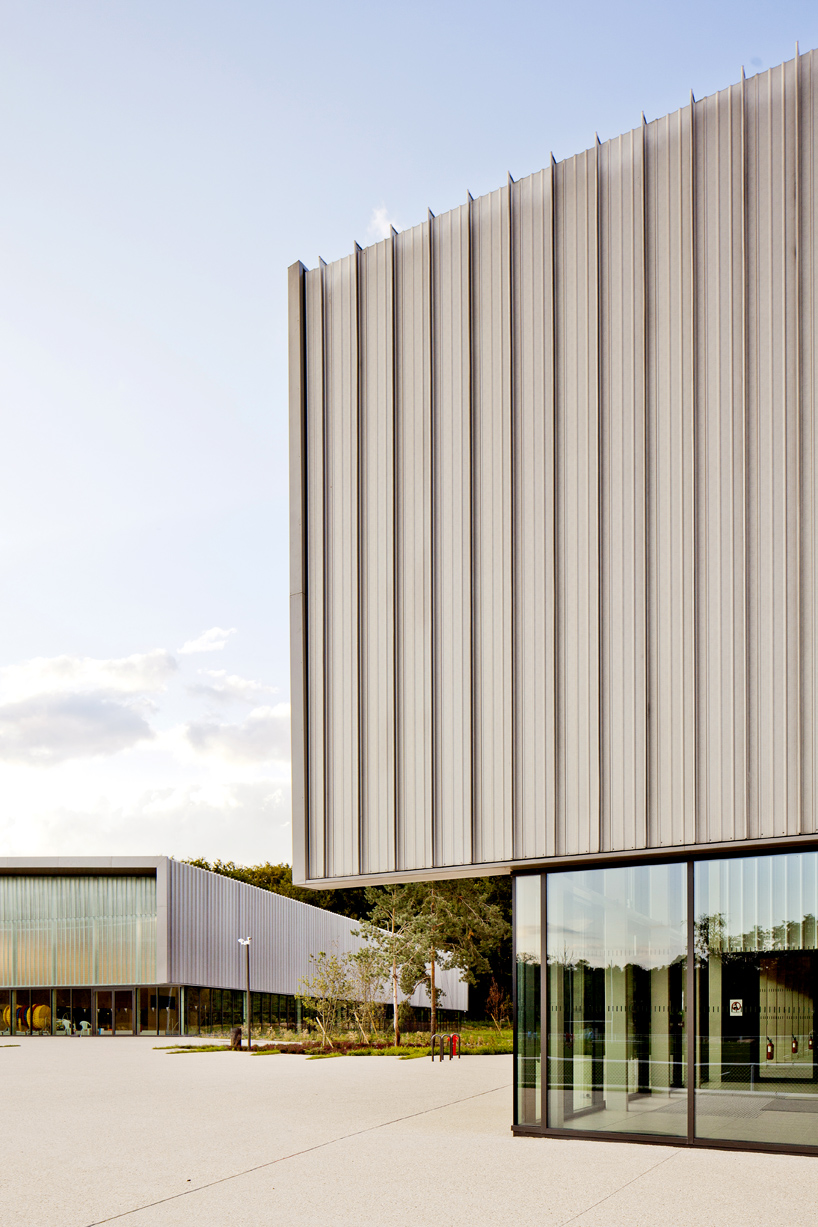 barthelemy grino sports cnsd