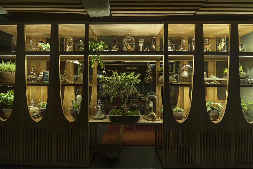 estudio atemporal xaman bar