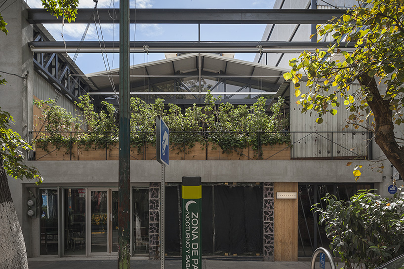 estudio atemporal brings baja to mexico city in campobaja interior