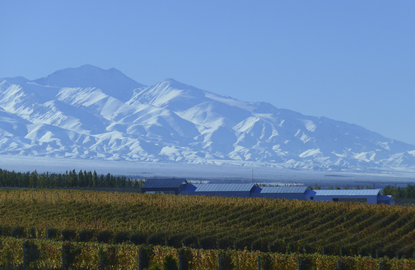 alberto toconogy argentina uco winery designboom
