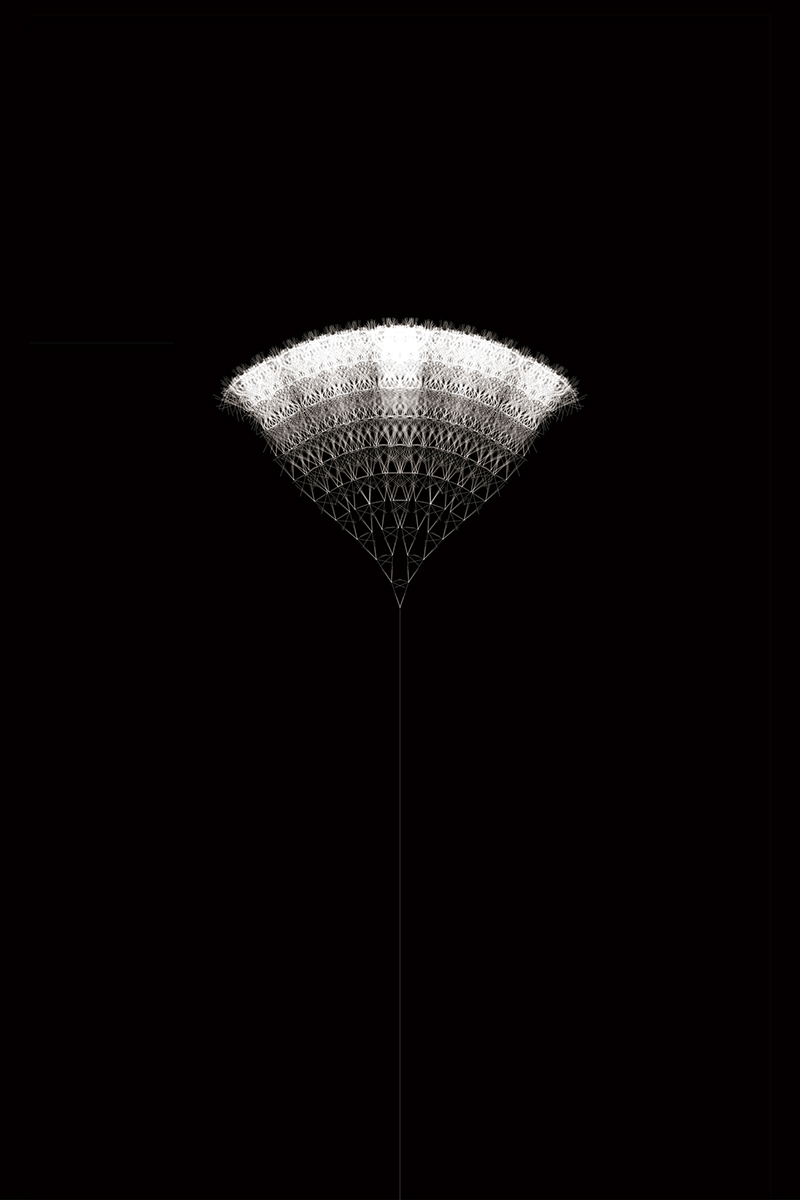 dandelion morphology