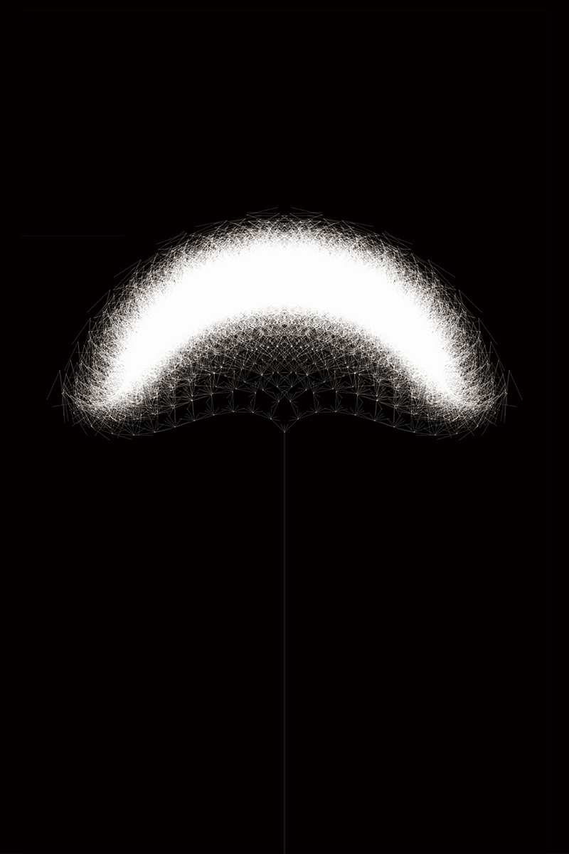 dandelion morphology